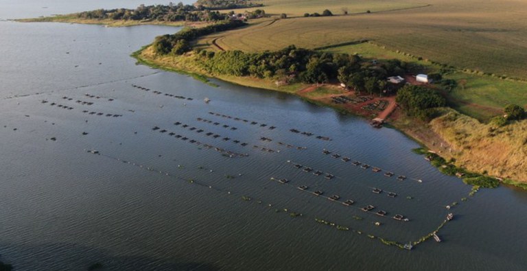 Cooperação entre MME e Ministério da Pesca fomentará aquicultura em reservatórios de hidrelétricas